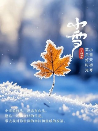 小雪遇雪