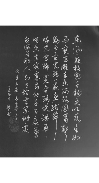 青未了 | 一枝红艳凌九霄