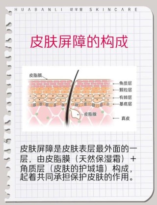 人人有它，藏在皮下，用来保温，还能防压。 （打一人体组织）