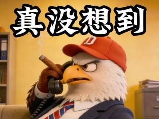 没想到，真没想到