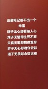 盗墓笔记，诗三百，一言以蔽之，思无邪