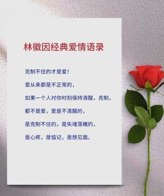 经典爱情语录:爱情呀！