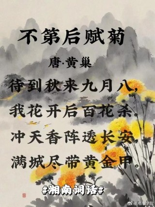 我们老了，守着一盆菊花读诗