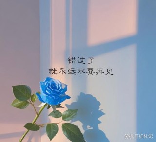 20句错过了爱情的句子，忘不了过去，永远也走不到未来