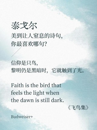 飞鸟集-311/爱诚可逝
