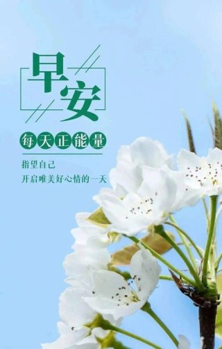 一天一句正能量简短16个字，每日正能量短句，积极向上，生活充满阳光。