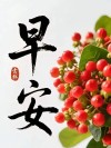 送给创业朋友们的正能量励志语录，最新晚秋最美的早上好祝福图片