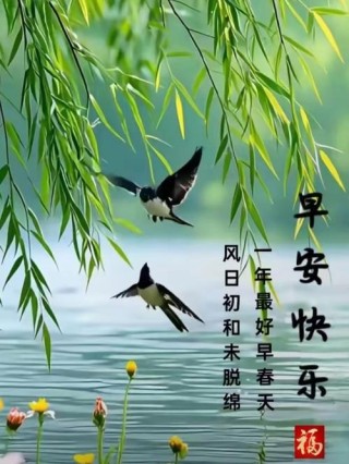 青山绿水寻佳音