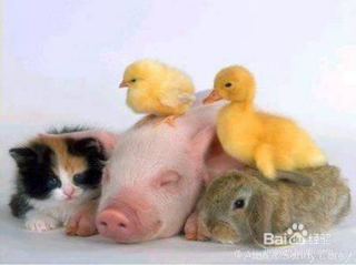 快乐需要一个过程