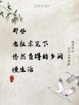 慢慢的老 静静的过