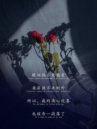 看后瞬间清醒的文案:温柔坚定的说不，心甘情愿的说好