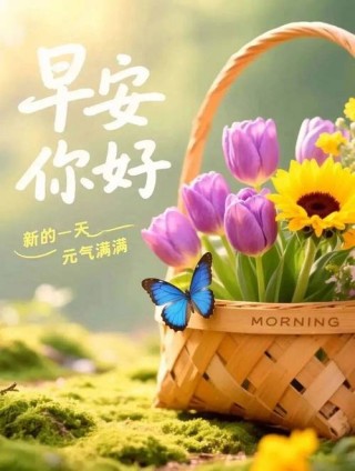 把所有的努力给今天，美好的清晨，美好的一天开始了，早安