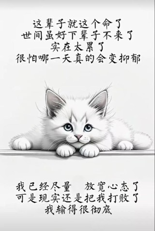 人生实苦，但也要好好走完这一生，下辈子，我们将再也不见