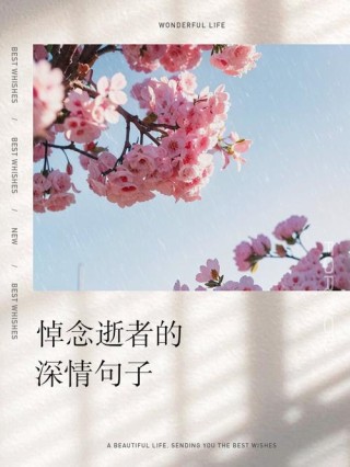 逝去·美好