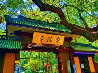 生活中的“不二法门”