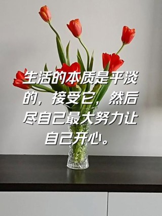 生活原本就平淡