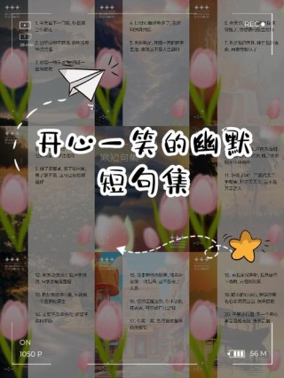 幽默风趣的经典句子，搞笑俏皮，句句乐翻天！