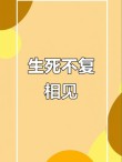 生死不复相见的经典语录 死生不复相见是什么意思
