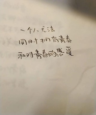 如果没有如果（青春摘抄的语句放在一起记下了无法言语的曾经）