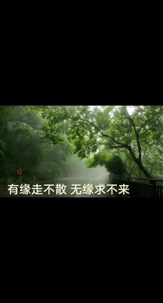 爱情看破了不过是聚散