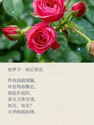 花飘零，香如故