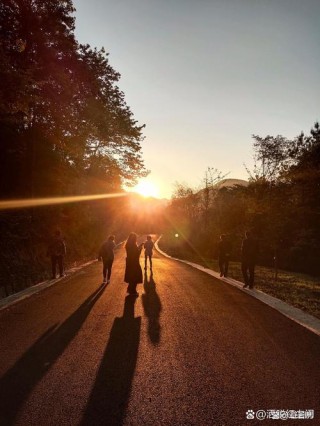 阳光晴好的日子，出去走走