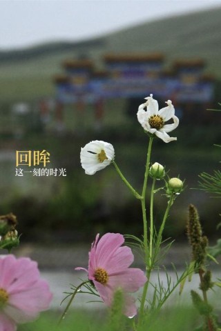 那些远去的时光