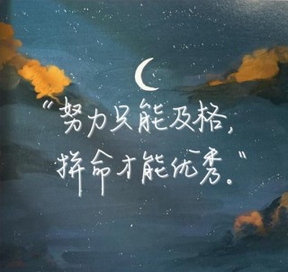 只要我们勇敢追求，努力拼搏，就一定能够收获成功和幸福