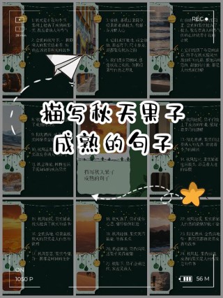 果子语录：一百四十二