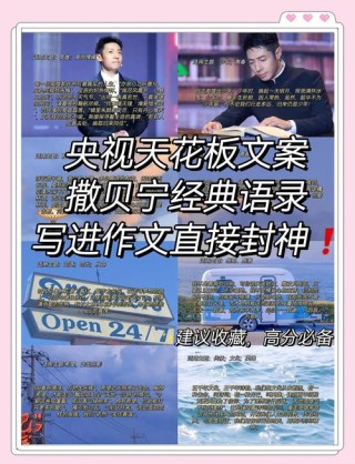 语录｜“央视男神”撒贝宁：若你决定灿烂，山无遮，海无拦