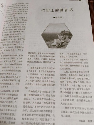 心田上的百合花 -- 林清玄