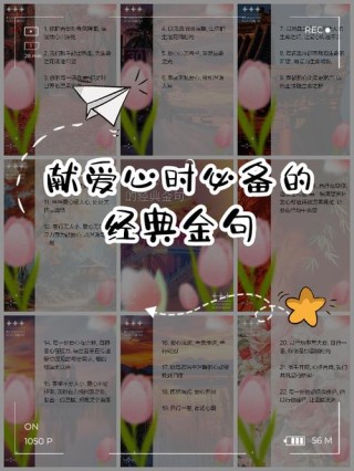 关于奉献付出的格言（2）