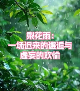 那一场迟来的雨