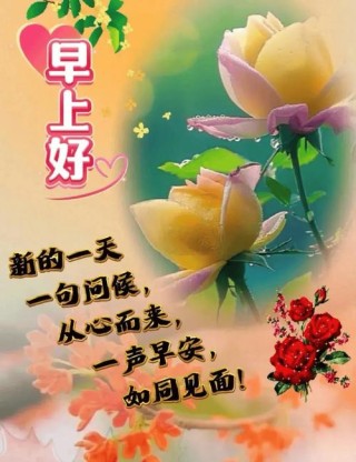 每日早上好问候语 早起第一声问候的句子