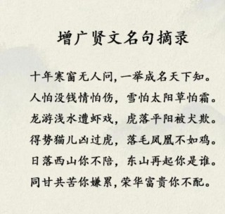 14位中国著名作家精彩语录，经典永流传