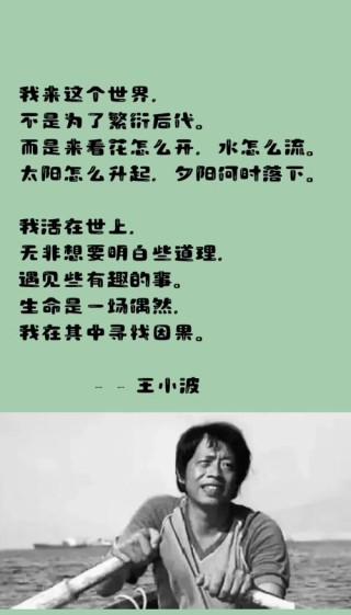 读完王小波这12句话，不再做沉默的大多数