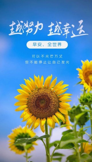 精选出一百句励志正能量语句，每天鼓励自己，心向阳光，元气满满