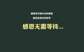 感恩无需等待