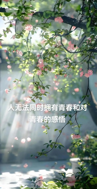 有一段青春，不再提起