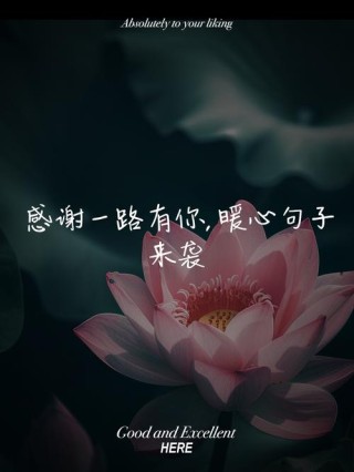 10句高情商表达感谢的句子