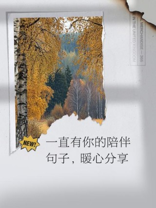 最好的陪伴是：你在，我在，一直在