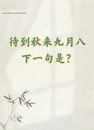 致九月：万般滋味，皆是生活