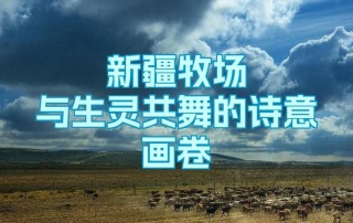 鲜活动人的生灵画卷