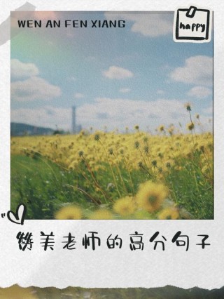 赞美老师的名言名句，赞美老师，名言名句中的教育之光