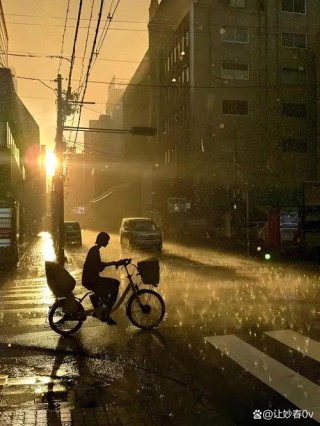 雨落，湿了晴天