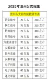 2026贵州考生多少分能上成都外国语学院「附2022-2025录取分数线」