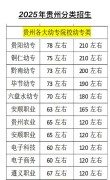 2026贵州考生多少分能上成都外国语学院「附2022-2025录取分数线」