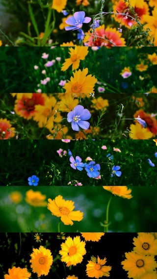 小花