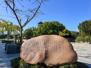 人在苏州吴江那几年（2015年-2019年）（3）