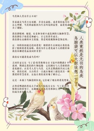 残疾小鸟的励志故事